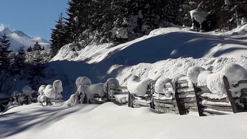 Apartment Jasmin Neustift im Stubaital Exterior foto